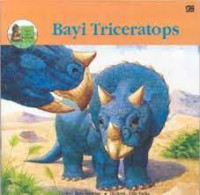 Image of Bayi triceratops