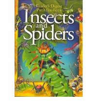 Image of Insects and spiders