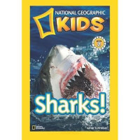 Image of Sharks